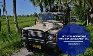 Aktivitas Menantang yang Bisa Dilakukan di Bali - Outbound Bali