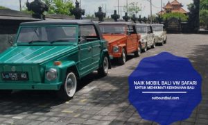 Naik Mobil Bali VW Safari Untuk Menikmati Keindahan Bali
