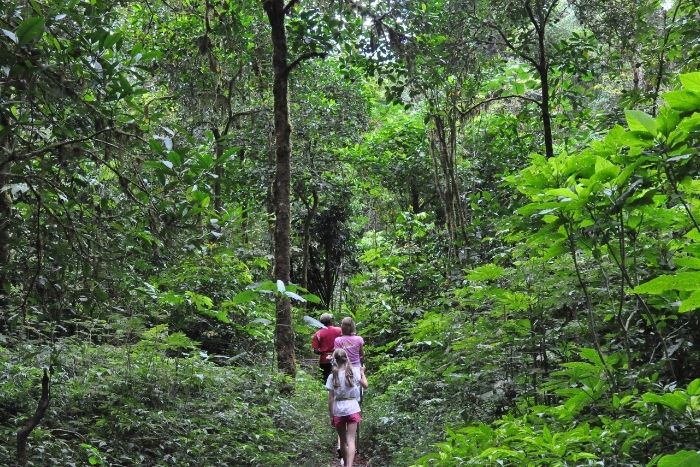 Team Building dan Trekking di Danau Buyan