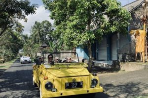 Kintamani VW Tour
