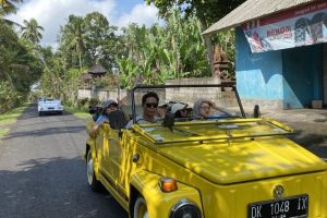 Jatiluwih VW Tour