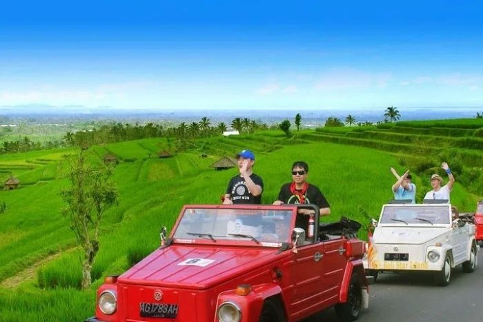 Ubud Vw Tour (Halfday)