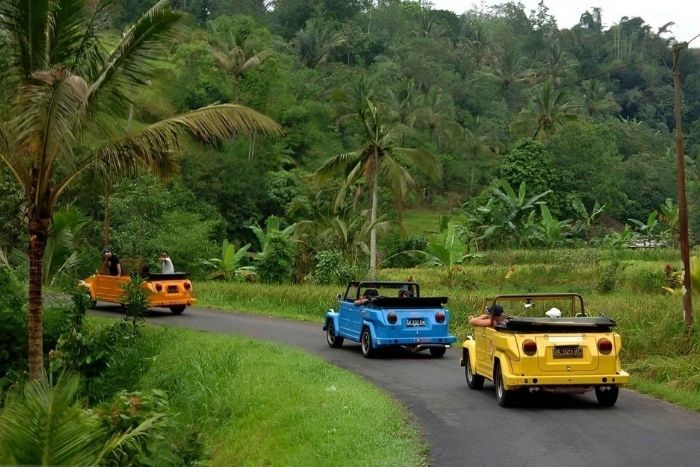Ubud Vw Tour (Halfday)