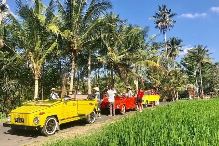 Ubud Vw Tour (Halfday)