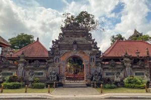 Ubud Vw Tour (Halfday)