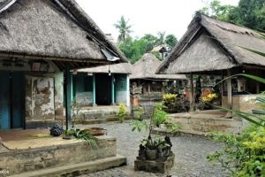 Ubud Vw Tour (Halfday)